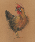 Berber Boom, Kip Bruin, Pastel op papier in lijst, 30x24 cm, €.250,-