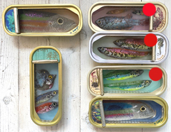 Ortaire de Coupigny, Fish, 145 euro, Gemengde techniek in visblikje, 6x13 cm