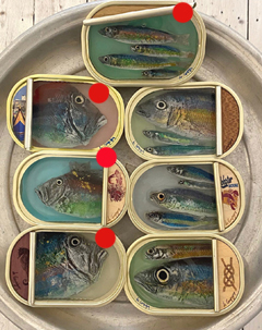 Ortaire de Coupigny, Mediuml fishtin, 170 euro, Mixed media in fishtin, 16x10,4 cm