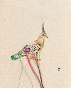 Judith Koning, Tortelduif, 125 euro, Gemengde techniek op linnen zonder lijst, 23x18 cm