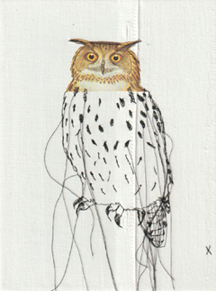 Judith Koning, Oehoe uil, 125 euro, Mixed media met vintage vogelboek en damast zonder lijst, 24x18 cm