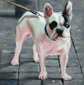 Richard van Mensvoort, Frans Bulldogje, Olieverf op doek in baklijst, 30x30 cm, €.850,-