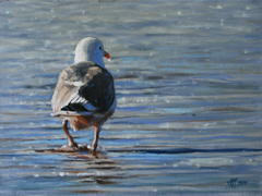 Richard van Mensvoort, Meeuw 2, Olieverf op doek, 30x40 cm, €.820,-