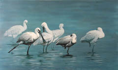 Liesbet Milort, Lepelaars, Acryl op paneel, 60x100x5,5 cm, €.1295,-
