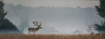 Liesbet Milort, De Veluwe, Acryl op paneel, 60x160x5,5 cm, €.1900,-