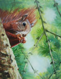 Liesbet Milort, Eekhoorn, Gemengde technieken op paneel, 36x28x5,5 cm, €.595,-