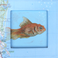 Liesbet Milort, Goudvis, Gemengde technieken op karton, 18x18 cm incl. lijst, €.110,-,-