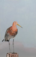 Liesbet Milort, Grutto, Acryl op paneel, 65x42x5m5 cm, €.695,-