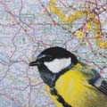 Liesbet Milort, Koolmees in Lile, Acryl op karton, 15x15 cm, €.80,-