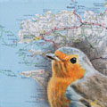 Liesbet Milort, Roodborst in Brest, Gemengde technieken op paneel, 12x12 cm, €.100,-