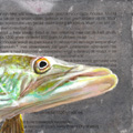 Liesbet Milort, Snoek op recept, Gemengde technieken op paneel, 12x12 cm, €.100,-