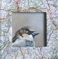 Liesbet Milort, Landkaartmus, Gemengde technieken op paneel, 15x15 cm, €.90,-