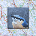 Liesbet Milort, landkaartvogel 1, Gemengde technieken op karton, 15x15 cm incl. lijst, €.90,-