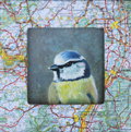 Liesbet Milort, landkaartvogel 2, Gemengde technieken op karton, 15x15 cm incl. lijst, €.90,-