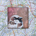 Liesbet Milort, landkaartvogel 3, Gemengde technieken op karton, 15x15 cm incl. lijst, €.90,-