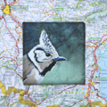 Liesbet Milort, landkaartvogel 4, Gemengde technieken op karton, 15x15 cm incl. lijst, €.90,-