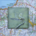 Liesbet Milort, Libelle, Gemengde technieken op karton, 15x15 cm incl. lijst, €.90,-