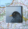 Liesbet Milort, Landkaart merel, Gemengde technieken op paneel, 15x15 cm, €.90,-