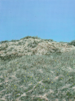 Rada Ovcharova, Duin 2, 325 euro, Acryl op doek in baklijst, 18x24 cm