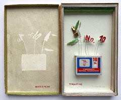 Tamar Rubinstein, Ontkieming, 150 euro, Gemengde techniek in sigarendoos, 24x19x3 cm