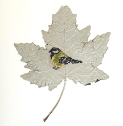 Renee Toonen, Mees, 225 euro, Kruissteken op zilverpopulierblad in diepe baklijst, 25x25 cm