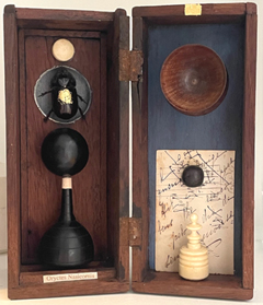 Antje Weber, Orycles nasicornis, 150 euro, Mixed Media with ebony in vintage drawer, 16x18x8 cm