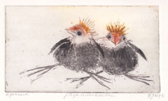 Barbara Wichers Hoeth, 2 Jonge meerkoeten, Ets, 10x15 cm in ijzeren lijst 20x30 cm, €.195,-