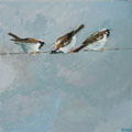 Barbara Wichers Hoeth, 3 mussen, Olieverf op paneel, 30x30 cm, €.400,-