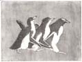Barbara Wichers Hoeth, 3 Pinguins, Ets in ijzeren lijst, 30x40 cm, €.210,-