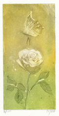 Barbara Wichers Hoeth, Roos en vlinder, Ets in ijzeren lijst, 30x19cm, €.195,-