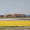 Gineke Zikken, Narcissen op Texel, Olieverf op doek, 40x40 cm, €.800,-
