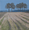 Gineke Zikken, Bomen in Drenthe, Olieverf op doek, 20x20 cm, €.550,-