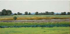 Gineke Zikken, Stroomdal Drentse Aa I, Olieverf op doek, 30x60 cm, €.800,-
