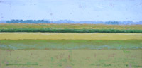 Gineke Zikken, Uitgebloeide bollen, Olieverf op doek, 20x40 cm, €.500,-