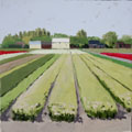 Gineke Zikken, Bollenveld groen, Olieverf op doek, 30x30 cm, €.480,-
