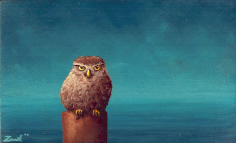 Marc van der Zwet, Wacthende steenuil op blauw met horizon, 290 euro, Olieverf op peneel in baklijstje, 13,2x8 cm