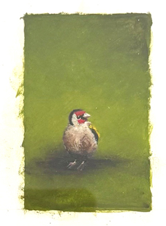 Marc van der Zwet, Puttertje, 150 euro, Olieverf op papier in donkdere lijst, 6x9 cm zonder lijst