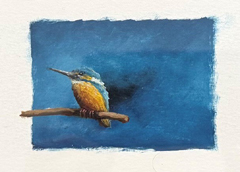 Marc van der Zwet, IJsvogel op tak, 150 euro, Olieverf op papier in donkdere lijst, 7x5 cm zonder lijst