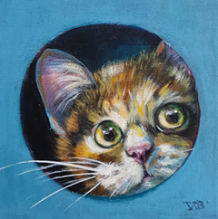 Vilma van den Berg, Kat in Doos lichtblauw, Acryl op doek, 20x20x3 cm, €.175,-