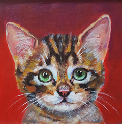 Vilma van den Berg, Kitten rood, 150 euro, Acryl op paneel in baklijstje, 15x15 cm