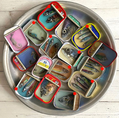 Ortaire de Coupigny, Fishtin, 80 euro, Mixed Media, 11x8x2,5 cm