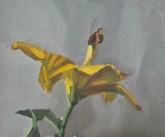 Bairbre Duggan, Yellow Lily, 700 euro, Olieverf op paneel in zwart houten lijst, 20x25 cm