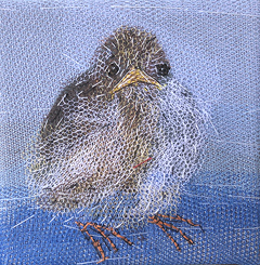 Nicole Ladrak, Musjes 1323, 75 euro, Textiel, 10x10 cm