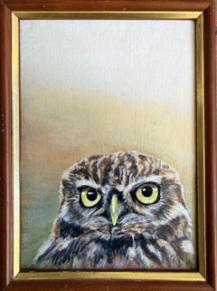Liesbet Milort, Steenuil, 185 euro, Gemengde techniek in vintage lijstje, 20x15 cm