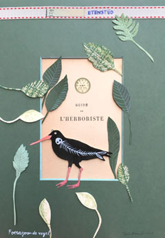 Tamar Rubinstein, Fouragerende vogel: etenstijd, Collage op papier in blankhouten lijst, 24x33 cm, €.195,-
