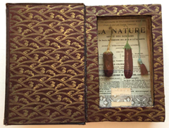 Tamar Rubinstein, La nature, Gemengde techniek in boek met glas, 16x21x4 cm, €.150,-