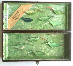 Tamar Rubinstein, Draagbaar landschap: Vogeldoosje, 175 euro, Gemengde techniek in bestekdoosje, 19x22 cm
