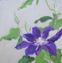 Anne Jitske Salverda, Clematis, Olieverf op paneel, 20x20 cm, €.180,- zonder lijst en €.220,- met lijst