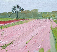 Anne Jitske Salverda, Bedwemeld roze, Olieverf op hout in houten lijst, 10,5x11,5 cm, €.175,- i