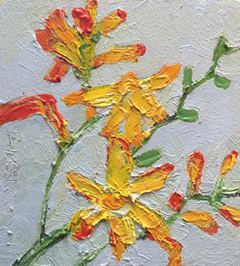 Anne Jitske Salverda, Schoonheid uit de tuin van de piraten, 135 euro, Olieverf op paneel zonder lijst, 11,5x11,5 cm